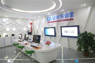 新華互聯(lián)網(wǎng)科技四大特色學院啟動，引領計算機科技領域技術開發(fā)新篇章