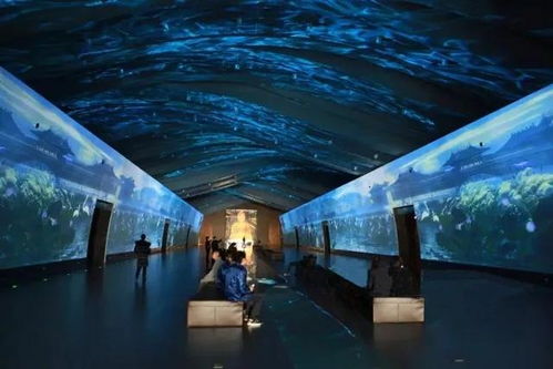 科技賦能，連接古今 探索博物館發展的新趨勢